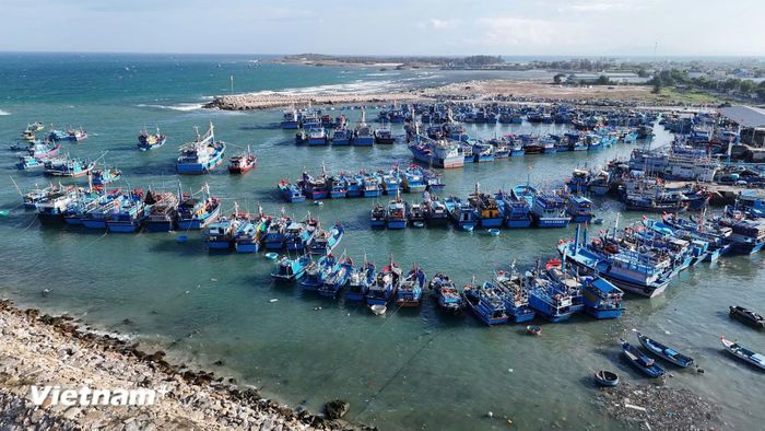 Xây dựng nền văn minh sinh thái và một Việt Nam xanh, phát triển nhanh, bền vững. (Ảnh: Hoài Nam/Vietnam+)