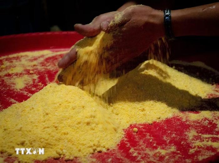 Ngô sau khi được xay mịn. (Ảnh: Nam Thái/TTXVN)