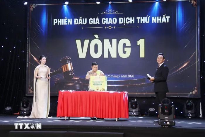 Doanh nghiệp thực hiện bỏ phiếu đấu giá vòng 1. (Ảnh: Hoài Thu/TTXVN)