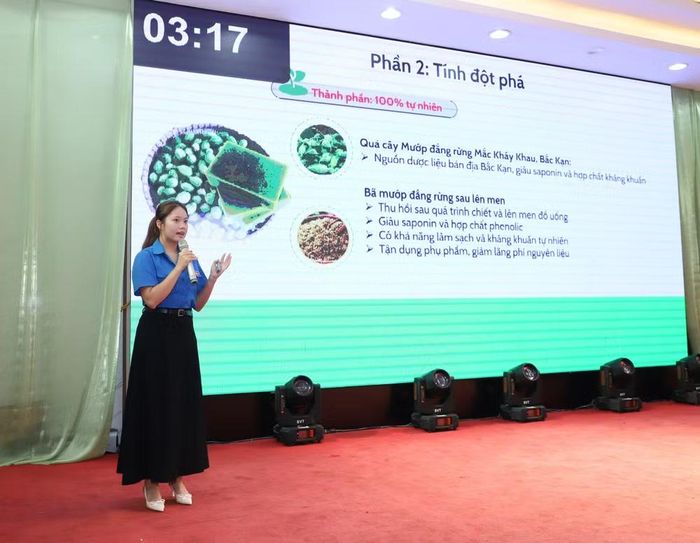 Đại diện các dự án trình bày dự án khởi nghiệp trước ban giám khảo. (Ảnh: Vietnam+)