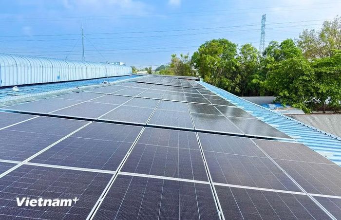 Hệ thống tấm pin điện năng lượng mặt trời trên mái nhà xưởng. (Nguồn: Vietnam+)