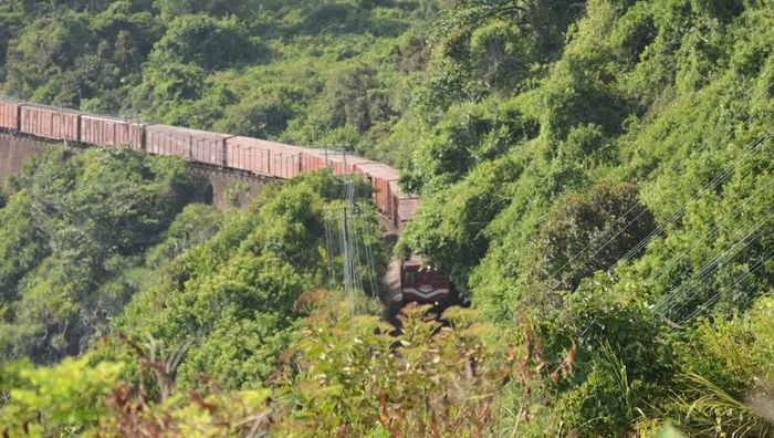 Một đoàn tàu di chuyển trong một khung cảnh đẹp như thơ. (Ảnh: Văn Dũng/TTXVN)