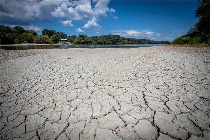 Lòng sông Danube khô cạn một phần do hạn hán, tại Szentendre, Hungary. Ảnh tư liệu: AFP/TTXVN