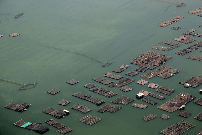 Làng bè Gò Găng, phường Phước Thắng, TP Hồ Chí Minh nhìn từ trên cao.