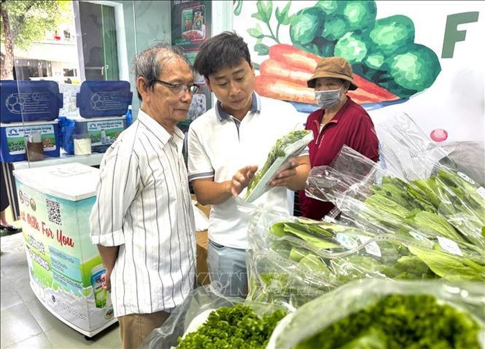 Sản phẩm rau sạch từ Hợp tác xã Tuấn Ngọc thu hút người tiêu dùng.
