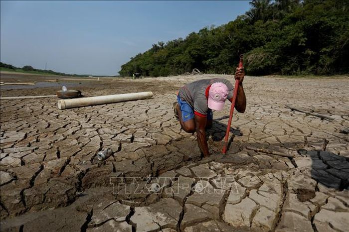 Người dân tìm nước dưới đáy hồ Puraquequara ở bang Amazonas, Brazil. Ảnh tư liệu: AFP/TTXVN