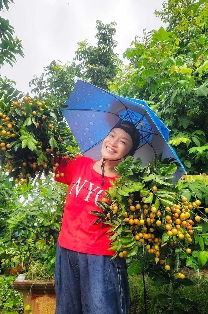 Tú Oanh dành phần lớn diện tích để trồng rau theo mùa. Ảnh: Internet.