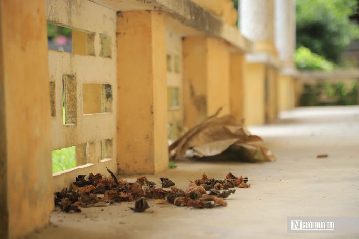 Màu thời gian hiện diện trên từng góc nhỏ của ngôi nhà, tạo nên khung cảnh tĩnh lặng, trầm mặc.