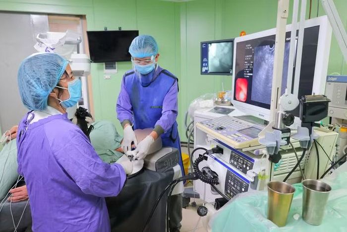 Nội soi lấy hạt táo ra khỏi dạ dày cô gái.
