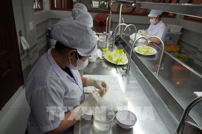 Sơ chế tổ yến tại Công ty TNHH Thương mại Yến sào Minh Phát Việt Nam, phường Rạch Giá, tỉnh An Giang. Ảnh: Lê Huy Hải - TTXVN