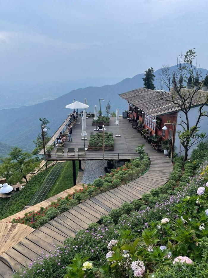 Những quán cà phê đẹp mê hồn ở Tam Đảo. Ảnh: báo Lao Động