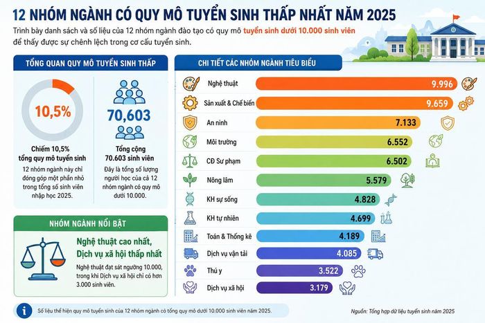 12 nhóm ngành có quy mô tuyển sinh dưới 10.000 năm 2025.
