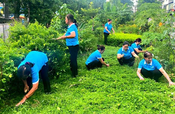 Phụ nữ xã Thư Lâm tích cực tham gia tổng vệ sinh môi trường, duy trì phong trào “3 sạch”