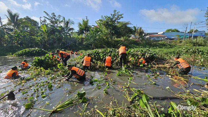 Vớt lục bình, khơi thông dòng chảy, góp phần bảo vệ môi trường, tạo cảnh quan xanh, sạch, đẹp trên địa bàn tỉnh.