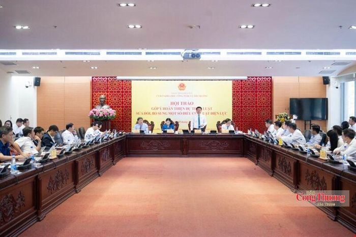 Phó Chủ tịch Quốc hội Nguyễn Hồng Diên dự và phát biểu tại Hội thảo góp ý hoàn thiện dự thảo Luật sửa đổi, bổ sung một số điều của Luật Điện lực.
