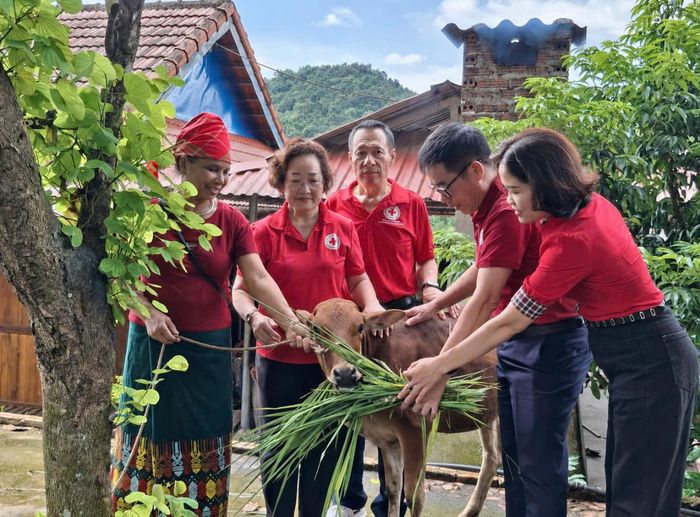 Đại diện Cụm thi đua số 3 trao bò giống hỗ trợ sinh kế cho hộ nghèo tại xã Mường Phăng, tỉnh Điện Biên.