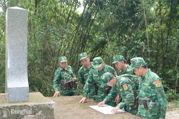 Sau khi kiểm tra hiện trạng cột mốc, giữa cánh rừng già, bên tấm bản đồ công tác dưới sự giám sát của chỉ huy, các cán bộ, chiến sĩ chăm chú dõi theo các tuyến đường, từng vị trí cột mốc, từng khu vực trọng điểm được phân tích kỹ lưỡng trước khi tiếp tục hành trình tuần tra. Trong ảnh: Cán bộ Ban Chỉ huy Bộ đội Biên phòng thành phố Đồng Nai kiểm tra hiện trạng địa bàn trong đợt tuần tra cùng cán bộ, chiến sĩ Đồn biên phòng Phước Thiện. Ảnh: Vũ Thuyên