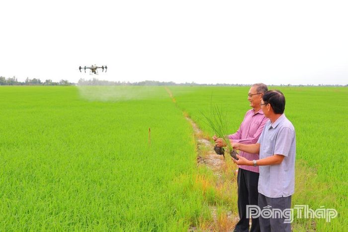 Khoa học - công nghệ đang từng bước thay đổi phương thức sản xuất lúa của nông dân Đồng Tháp theo hướng hiện đại, tiết kiệm chi phí và nâng cao giá trị.