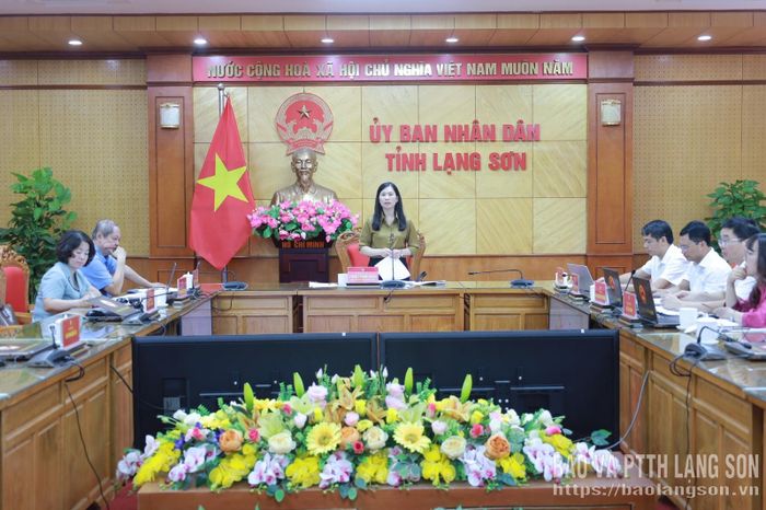 Đồng chí Trần Thanh Nhàn, Phó Chủ tịch UBND tỉnh phát biểu kết luận tại buổi làm việc
