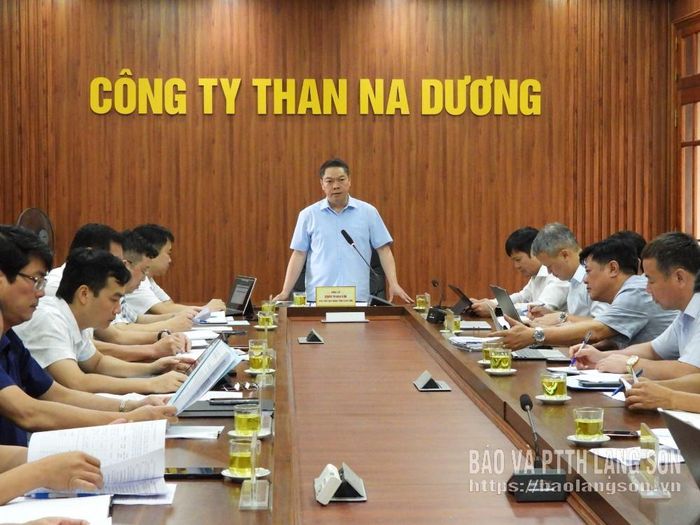 Đồng chí Phó Chủ tịch UBND tỉnh phát biểu kết luận tại cuộc kiểm tra