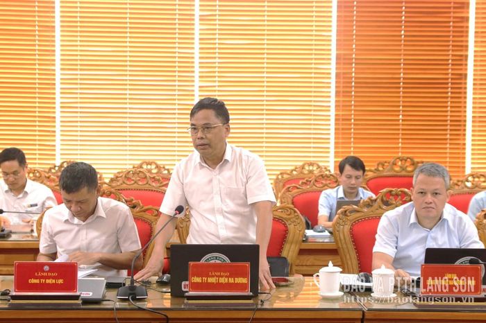 Lãnh đạo Công ty Nhiệt điện Na Dương - TKV phát biểu tại buổi làm việc