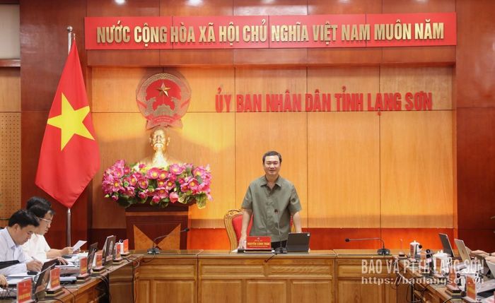 Đồng chí Nguyễn Cảnh Toàn, Phó Bí thư Tỉnh ủy, Chủ tịch UBND tỉnh phát biểu kết luận buổi làm việc