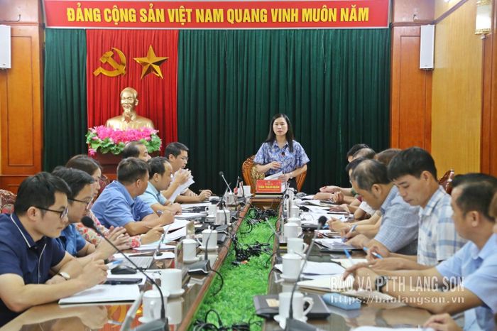 Đồng chí Trần Thanh Nhàn, Phó Chủ tịch UBND tỉnh phát biểu kết luận cuộc họp