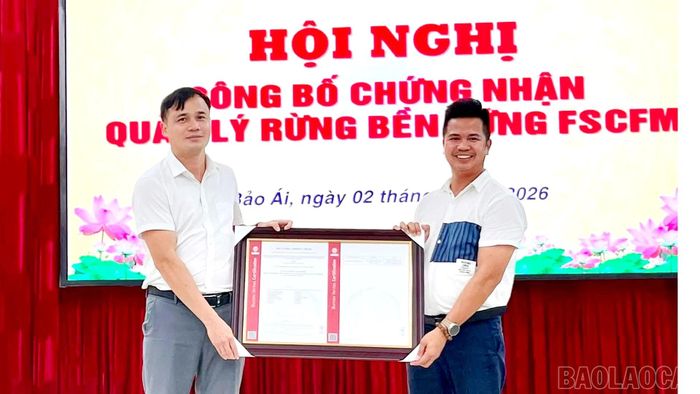 Chứng nhận quản lý rừng bền vững FSC - FM góp phần nâng cao giá trị kinh tế cho rừng trồng ở xã Bảo Ái.