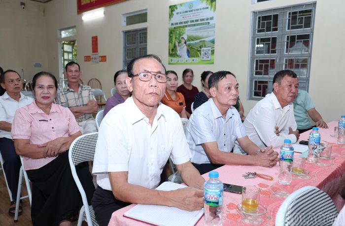 Đại biểu dự buổi khảo sát tại xã Yên Bình.