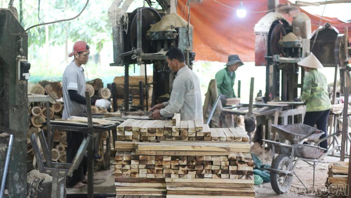 Hoạt động sản xuất tại các cơ sở chế biến gỗ trên địa bàn xã Bảo Ái tạo việc làm, nâng cao thu nhập và cải thiện đời sống người lao động.
