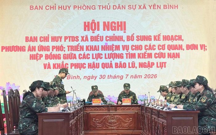 Thực hành diễn tập.