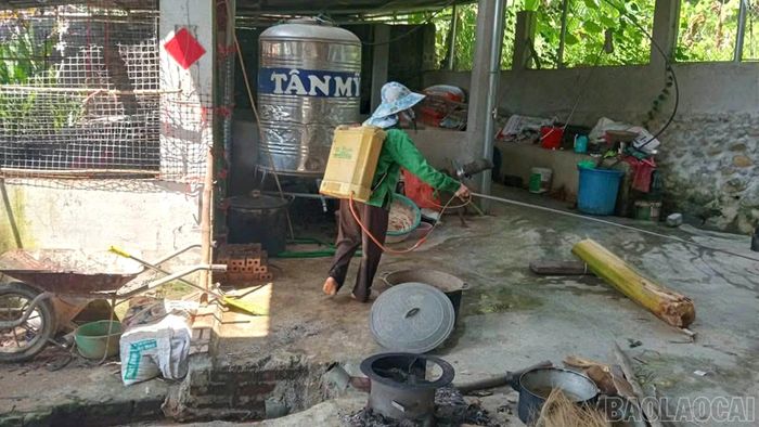 Tổ chức phun tiêu độc khử trùng tại khu chăn nuôi.