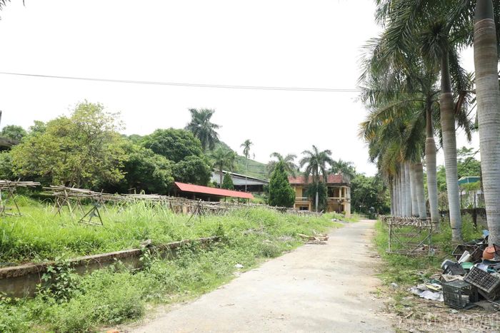 Nhà máy chế biến chè Liên Sơn đóng cửa, bỏ hoang.