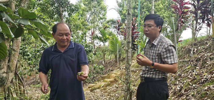 Nhờ phát triển mô hình kinh tế tổng hợp nhiều loại cây trồng, vật nuôi, gia đình ông Thào Hùng Khải duy trì nguồn thu nhập ổn định và trở thành hộ sản xuất tiêu biểu tại địa phương