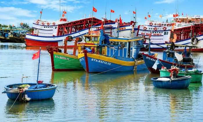 Lâm Đồng quyết tâm đưa đội tàu cá vào guồng sản xuất minh bạch