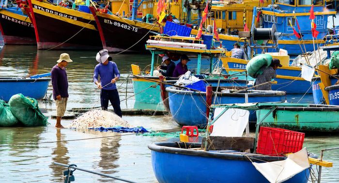 Ngư dân có cơ hội bán sản phẩm vào những chuỗi có yêu cầu cao
