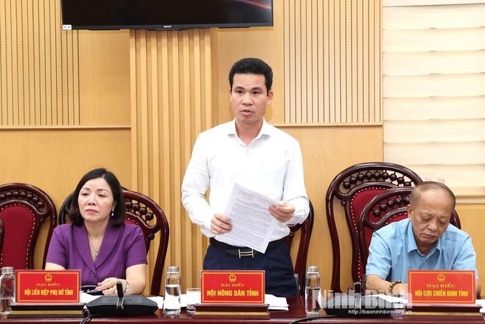 Lãnh đạo Hội Nông dân tỉnh phát biểu tại hội nghị.