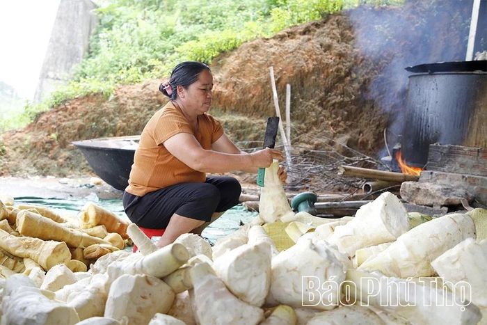 Điểm thu mua của chị Bùi Thị Chìm mỗi ngày thu mua hàng tấn măng tươi để chế biến, xuất bán cho thương lái.