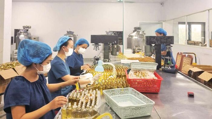 Lao động trong lĩnh vực chế biến sẽ là một trong những ngành kinh tế mũi nhọn được tỉnh quan tâm đào tạo - Ảnh: M.L