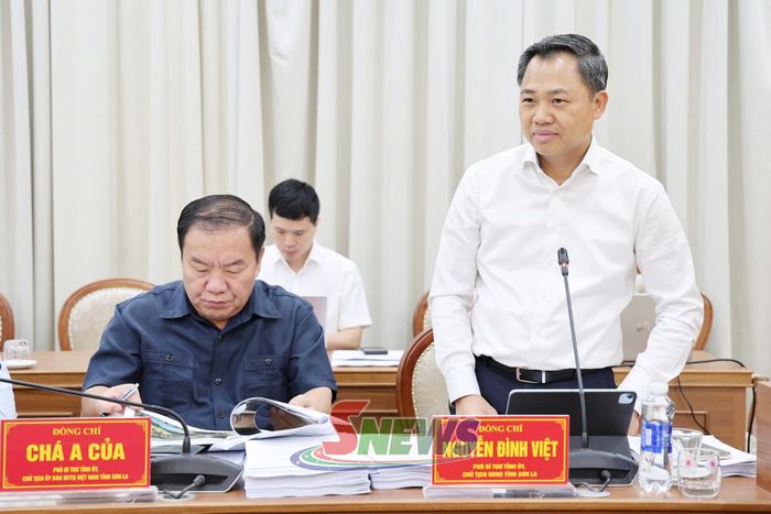 Đồng chí Nguyễn Đình Việt, Phó Bí thư Tỉnh ủy, Chủ tịch UBND tỉnh, tham gia ý kiến tại hội nghị.