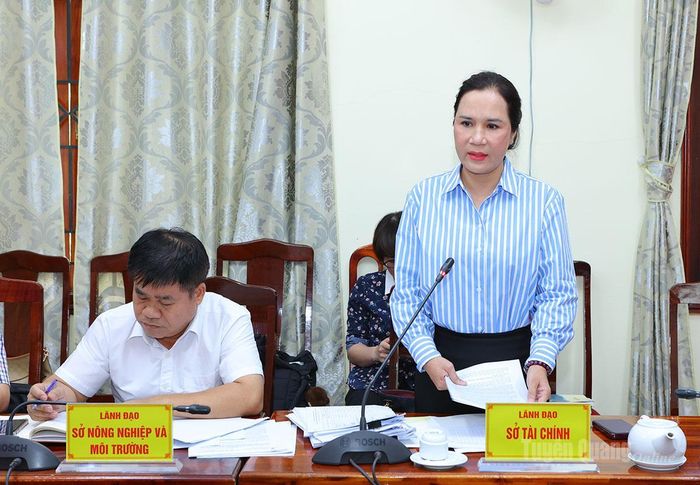 Lãnh đạo Sở Tài chính phát biểu ý kiến.