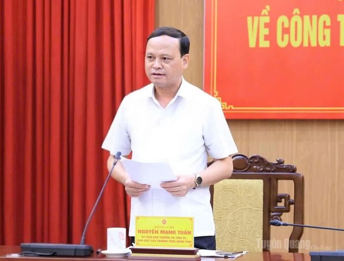 Đồng chí Phó Chủ tịch Thường trực UBND tỉnh Nguyễn Mạnh Tuấn phát biểu tại hội nghị.