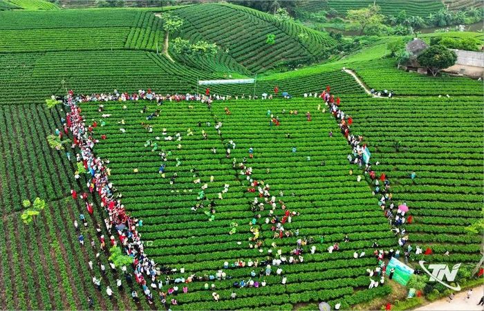 Lễ hội "Thái Nguyên – Hương sắc danh trà" góp phần lan tỏa hình ảnh vùng đất "Đệ nhất danh trà" đến du khách trong và ngoài nước.