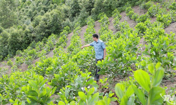 Khu vực xuất hiện vết nứt kéo dài, tiềm ẩn nguy cơ sạt lở cao.