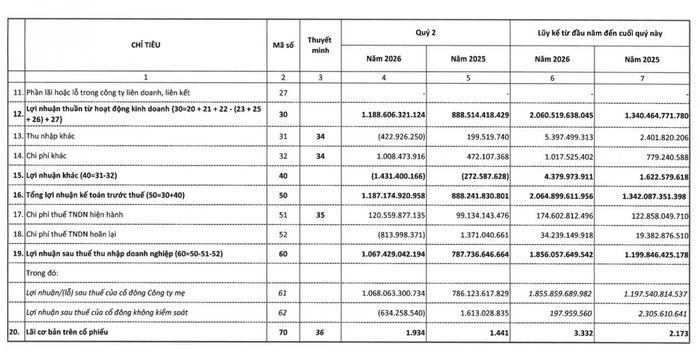 Kết quả kinh doanh quý II/2026 của Đạm Cà Mau. Nguồn: BCTC.
