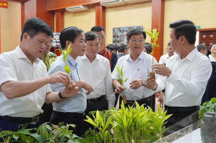 Quảng Trị hướng đến nền nông nghiệp xanh, hiện đại, tuần hoàn và phát thải thấp.