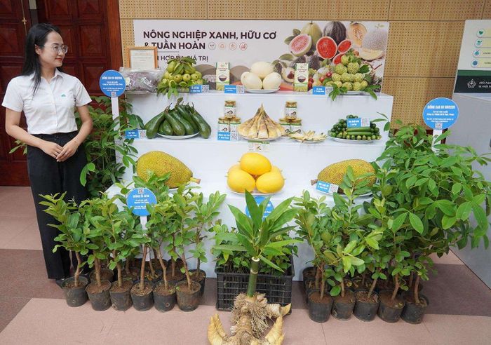 Gian hàng trưng bày sản phẩm nông nghiệp xanh, hữu cơ và tuần hoàn