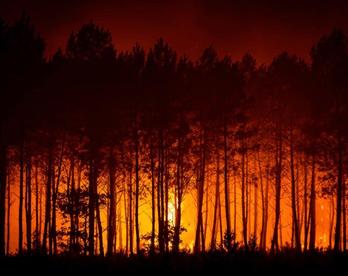 Một đám cháy rừng đang bùng phát gần Cestas thuộc vùng Gironde ở tây nam nước Pháp. Ảnh: Julien Soulard/EPA