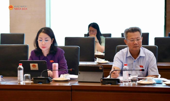 Các đại biểu tham dự Phiên họp