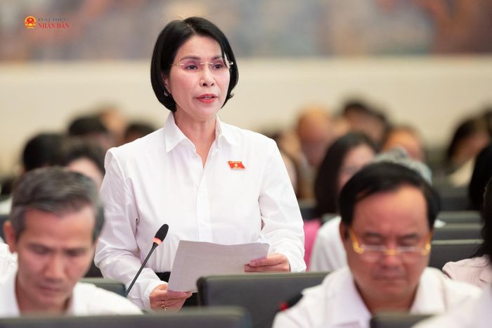 Phó Chủ nhiệm Ủy ban Dân nguyện và Giám sát Trần Thị Nhị Hà phát biểu